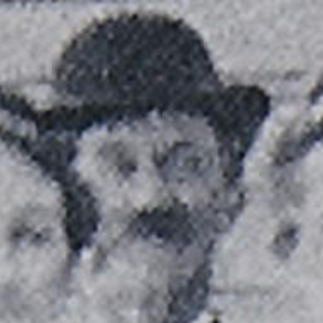 John Ross Smith (1858 - 1923) Profile